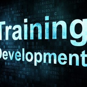 Training Development graphic affordable divorce