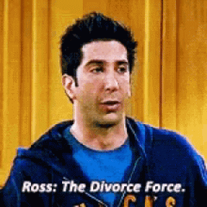 Ross is the Divorce Force for Collaboration florida divorce forms